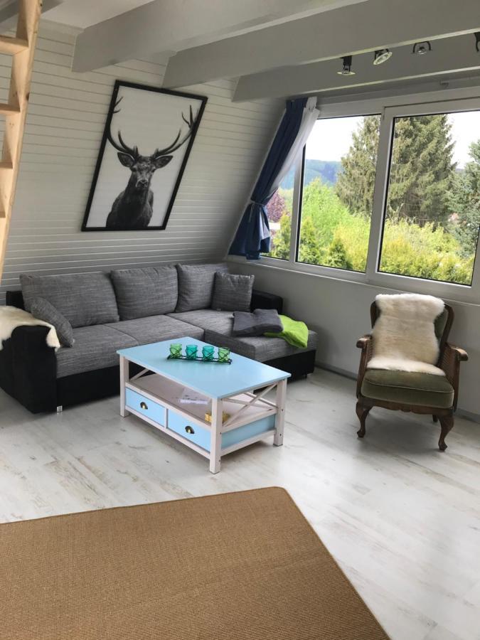 Ferienhaus Schadertalblick Villa Wolfshagen  Kültér fotó